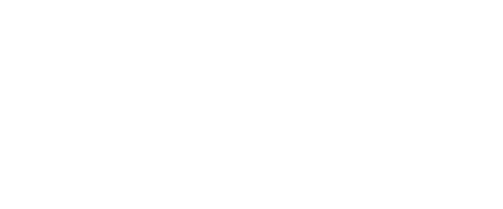 Dominion Village at Williamsburg Logo